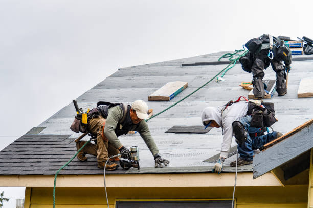 Professional Emergency Roof Repair technician working in Halsey, OR
